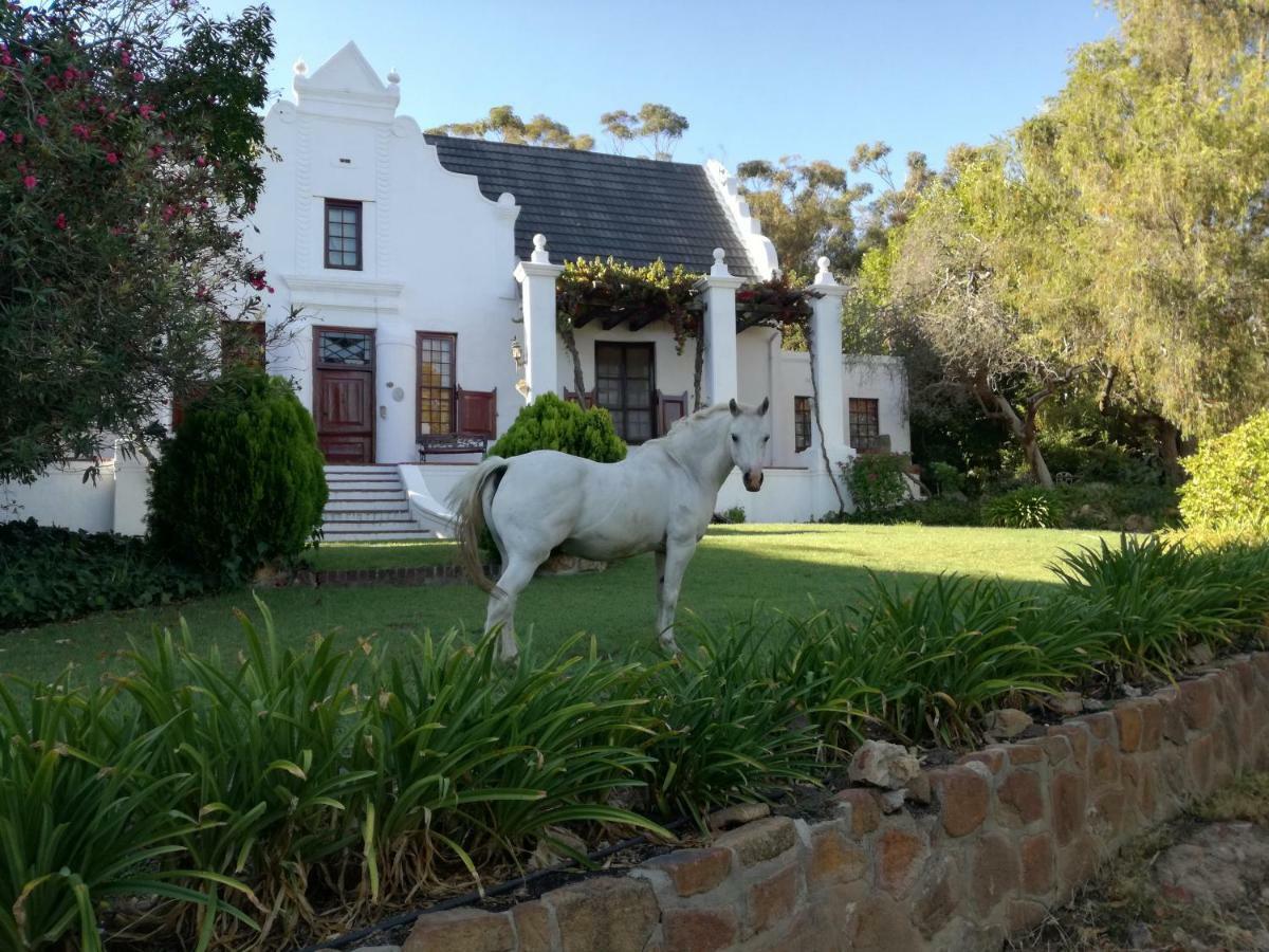 Mooiplaas Wine Estate Apartamento Stellenbosch Exterior foto